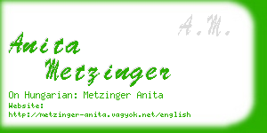 anita metzinger business card